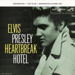 دانلود آهنگ Heartbreak Hotel از Elvis Presley (با متن آهنگ)